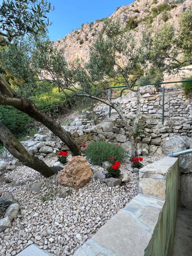 Villa Pelargonia Makarska Exterior photo
